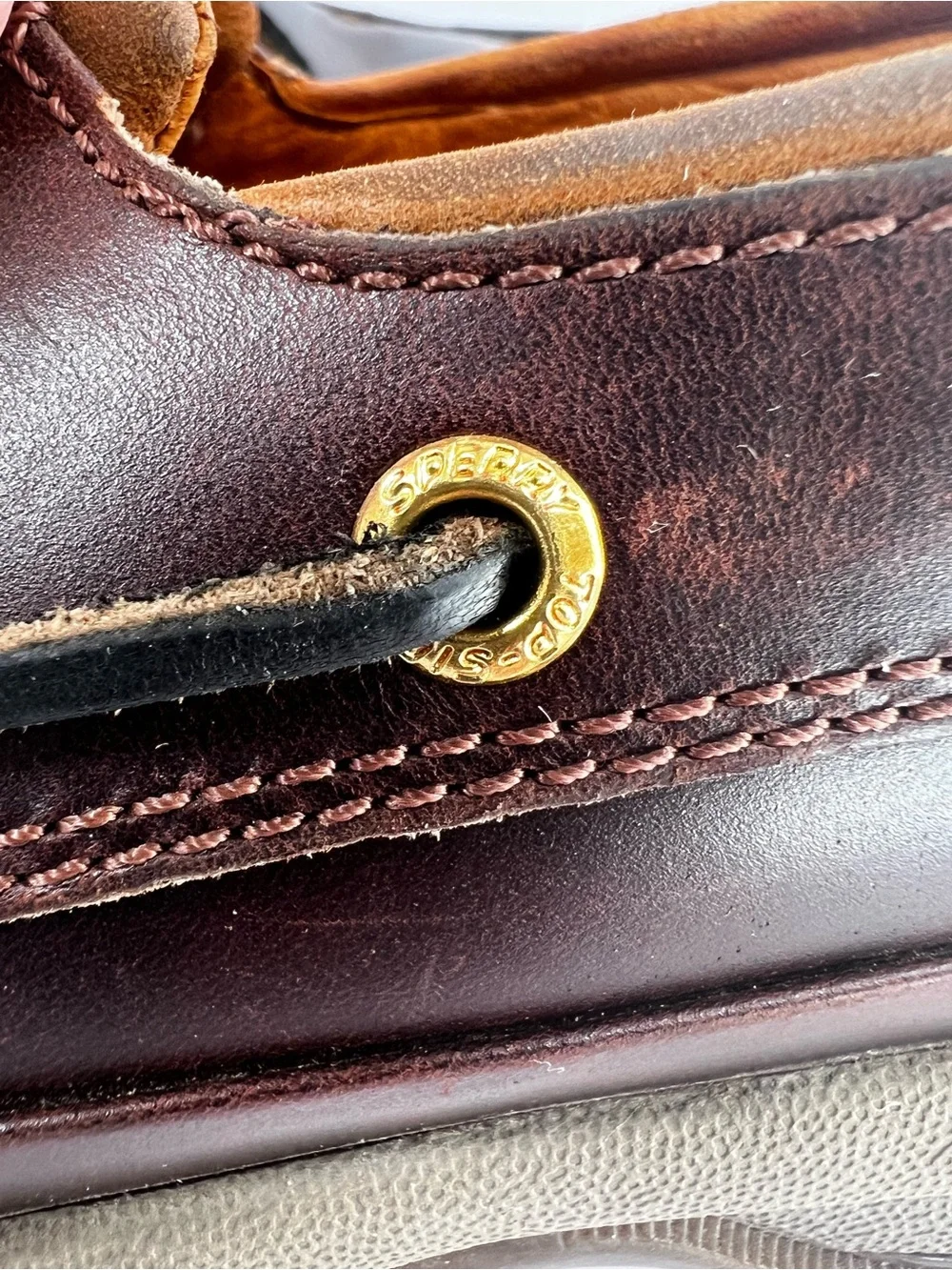 Sperry elevate your